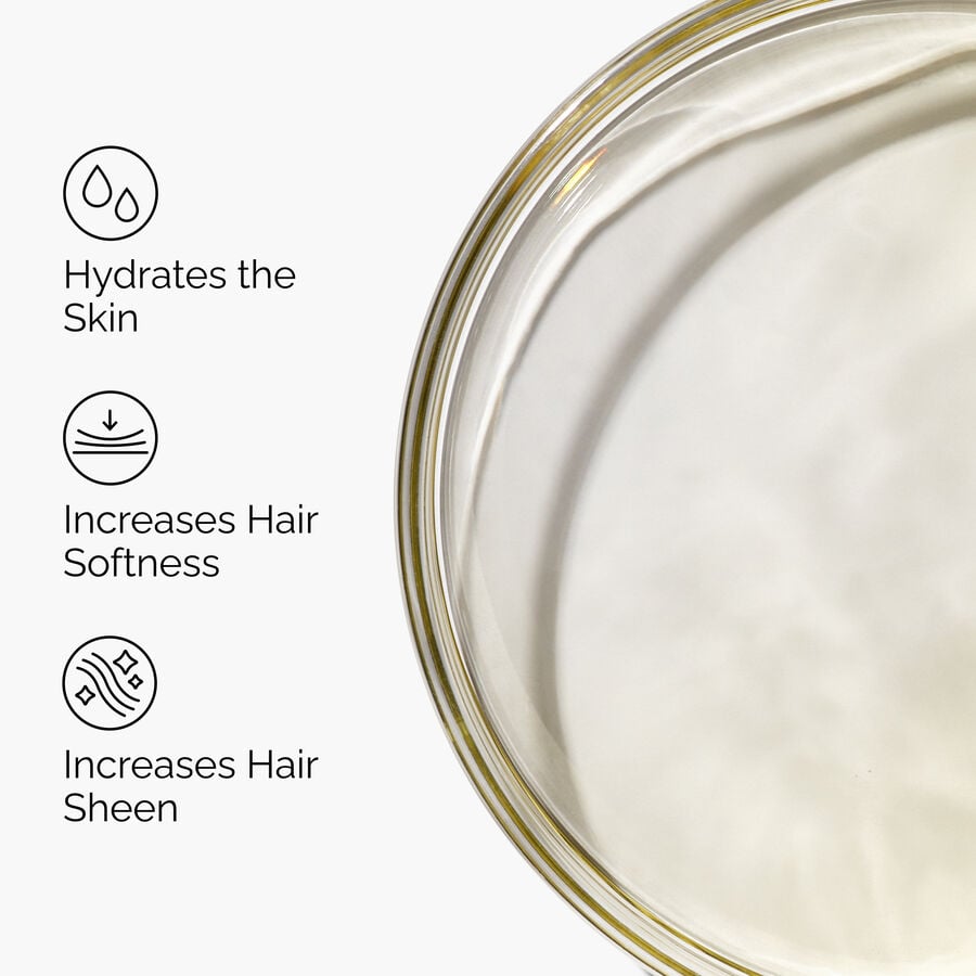 100-organic-cold-pressed-moroccan-argan-oil-d1 FY25-D41247-ORD-Web-PDP-100-Argan-Oil-1x1-EN-3.jpg